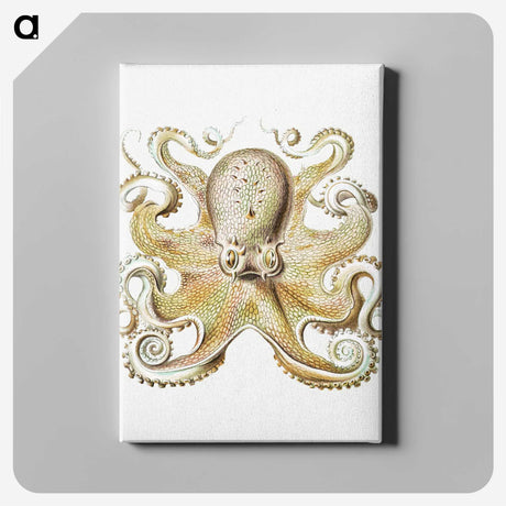 1-21_Ernst-Haeckel_canvas