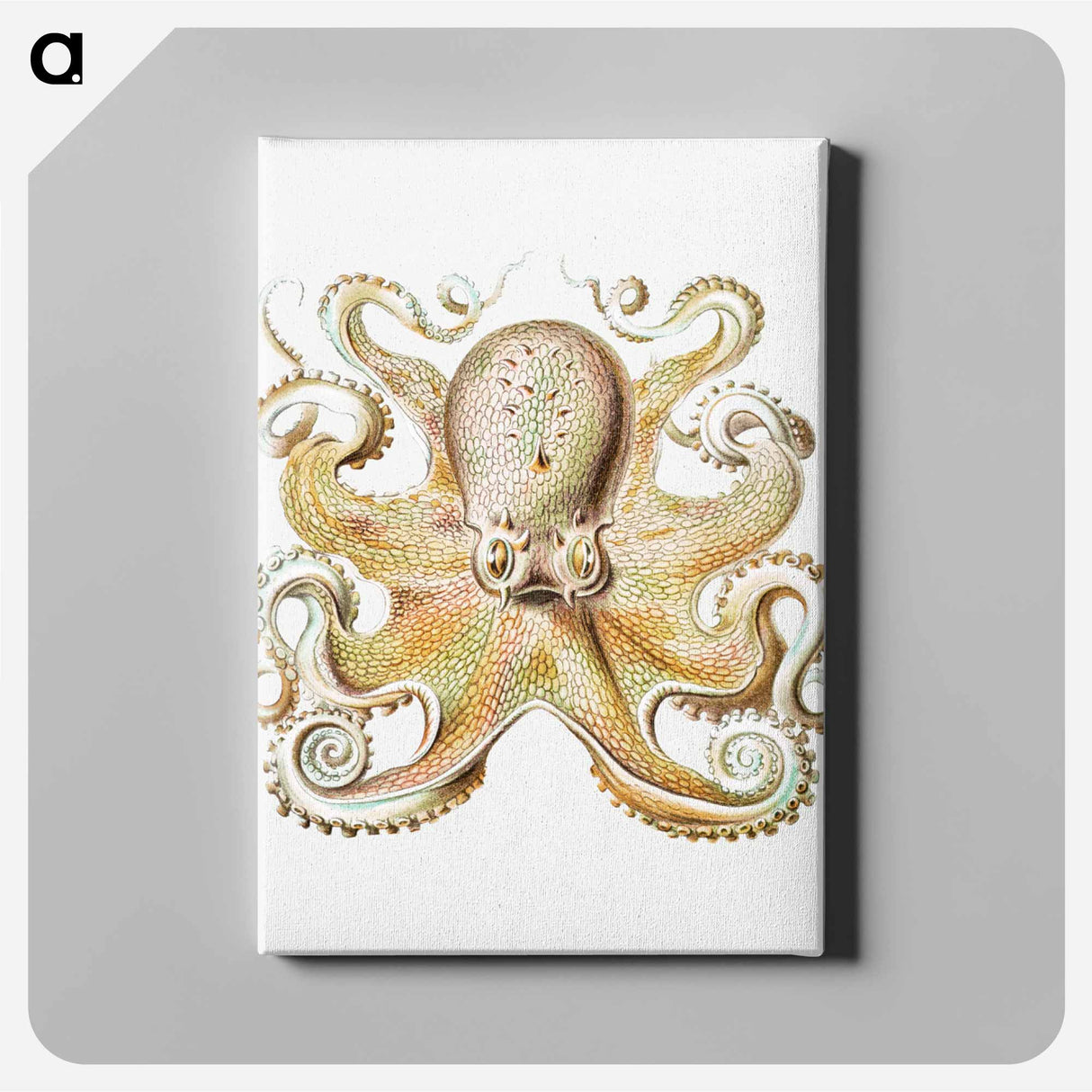 Vintage octopus marine life illustration - エルンスト ヘッケル Canvas.