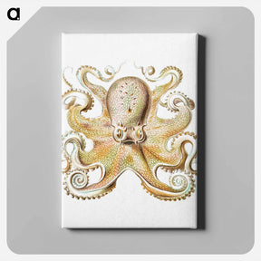アートパネル-Vintage octopus marine life illustration - エルンスト ヘッケル Canvas.