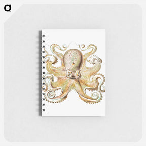 アートメモ帳-Vintage octopus marine life illustration - エルンスト ヘッケル Memo.