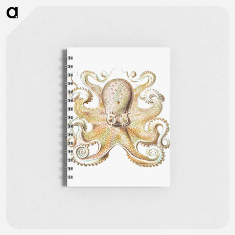 アートメモ帳-Vintage octopus marine life illustration - エルンスト ヘッケル Memo.