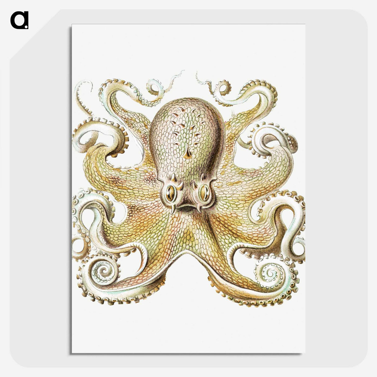 1-21_Ernst-Haeckel_picture-crop