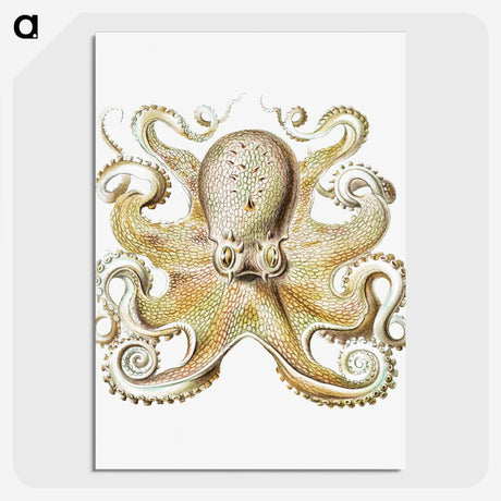 1-21_Ernst-Haeckel_picture-crop