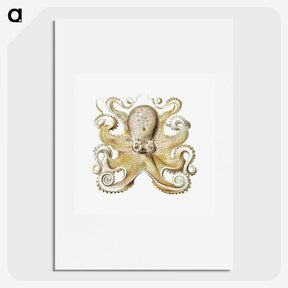 1-21_Ernst-Haeckel_picture