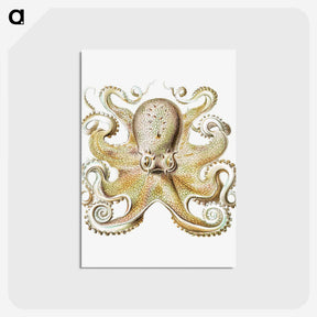 1-21_Ernst-Haeckel_postcard