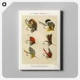 1-21_Favorite-Flies-and-Their-History_canvas