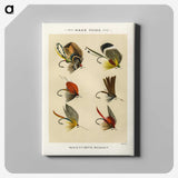 1-21_Favorite-Flies-and-Their-History_canvas