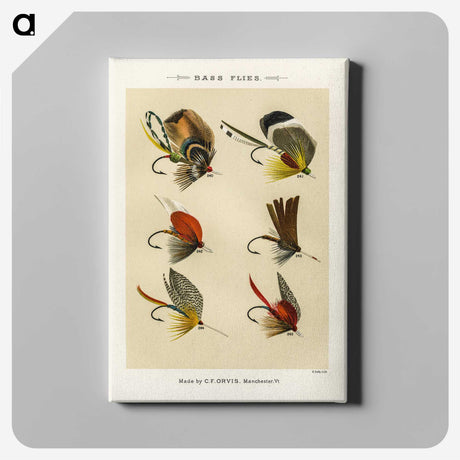 1-21_Favorite-Flies-and-Their-History_canvas