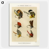 1-21_Favorite-Flies-and-Their-History_picture-crop