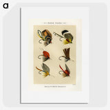 1-21_Favorite-Flies-and-Their-History_picture