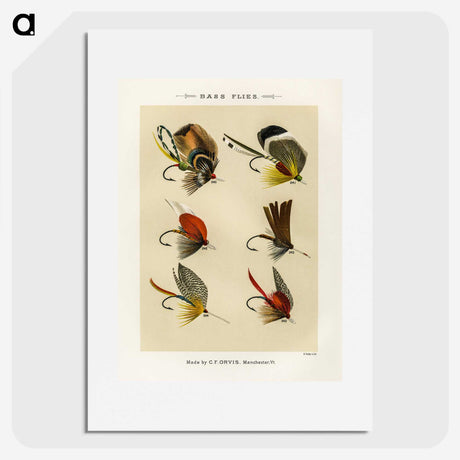 1-21_Favorite-Flies-and-Their-History_picture