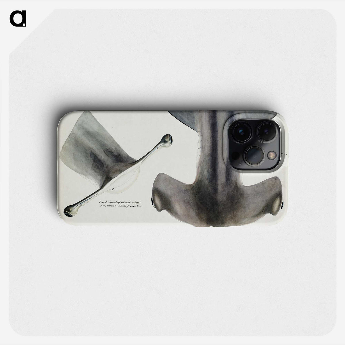 1-21_Frank-Edward-Clarke_phone