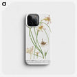 1-21_Georg-Dionysius-Ehret_phone