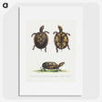 1-21_George-Edwards_picture