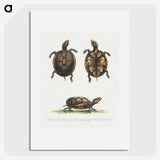 1-21_George-Edwards_picture