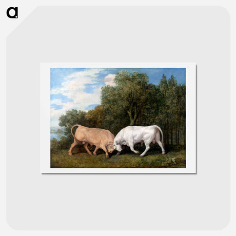 アートポストカード-Bulls Fighting
 - ジョージ スタッブス Postcard.