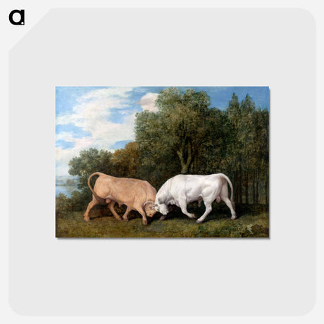 アートポストカード-Bulls Fighting
 - ジョージ スタッブス Postcard.