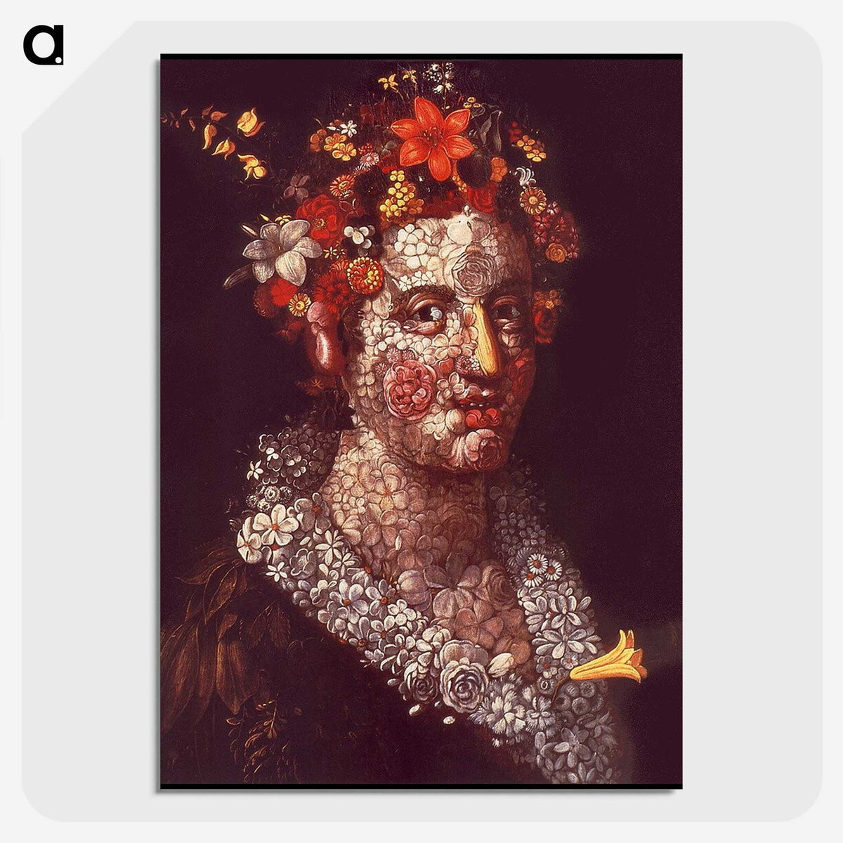 1-21_Giuseppe-Arcimboldo_picture-crop
