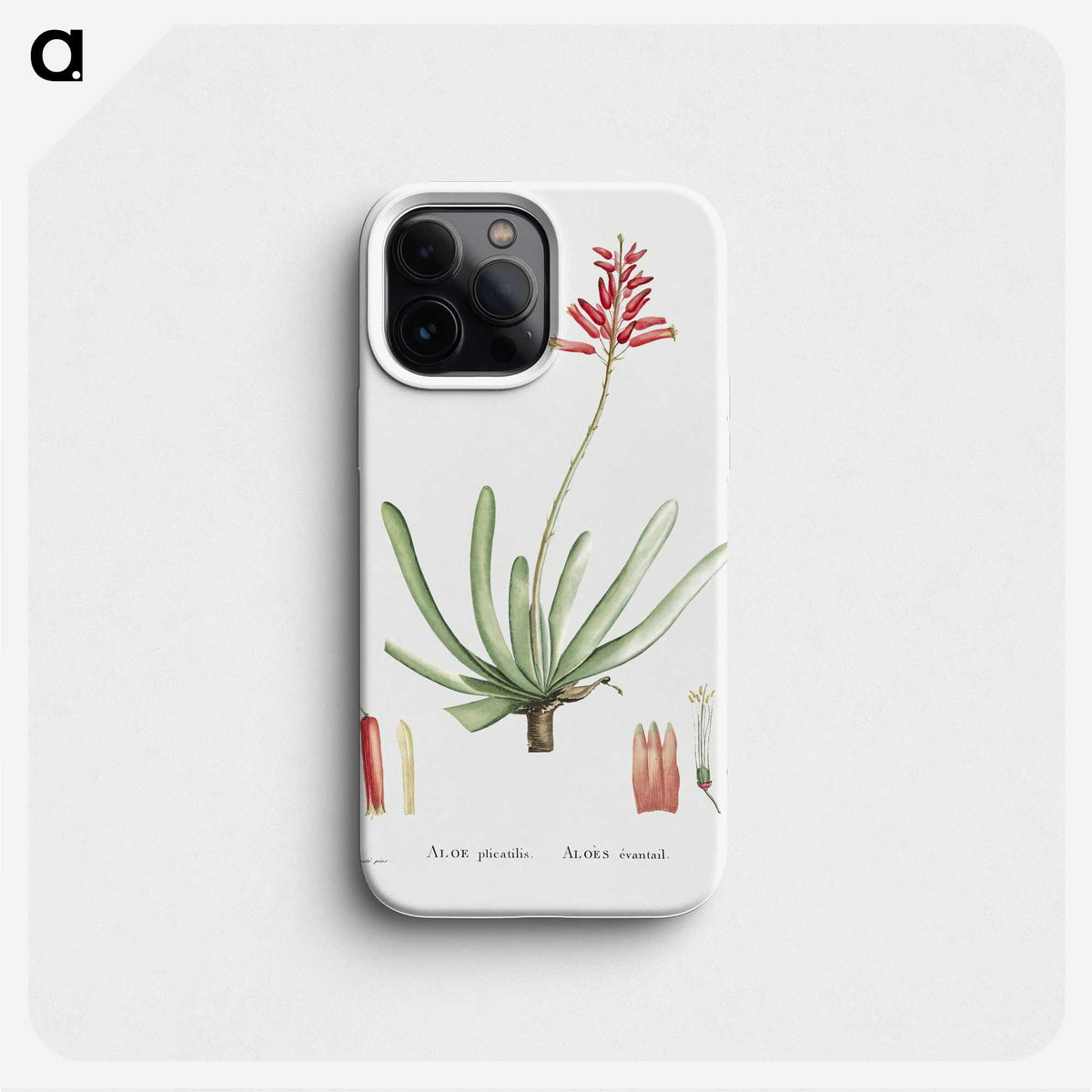 1-21_Histoire-des-Plantes-Grasses_phone