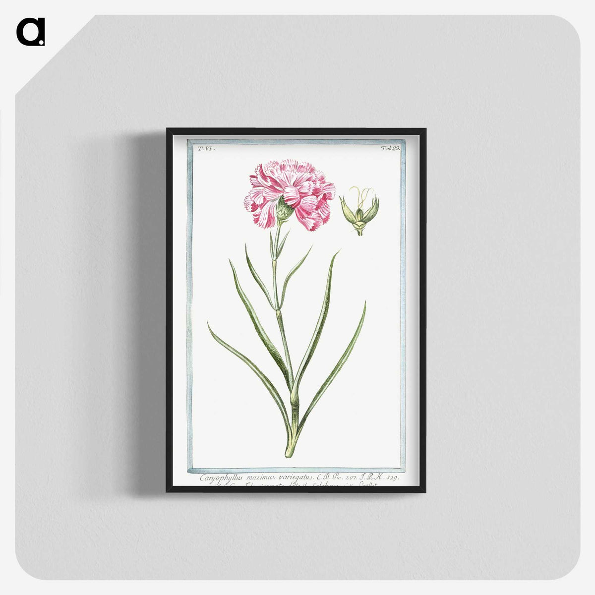 1-21_Hortus-Romanus-Botanical-Plates_blk-crop