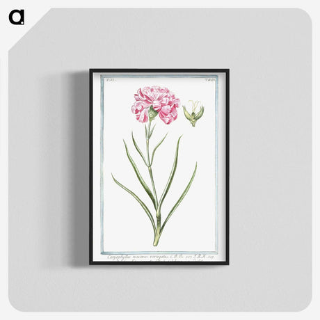 1-21_Hortus-Romanus-Botanical-Plates_blk-crop