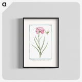 1-21_Hortus-Romanus-Botanical-Plates_blk