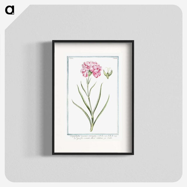 1-21_Hortus-Romanus-Botanical-Plates_blk