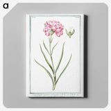 1-21_Hortus-Romanus-Botanical-Plates_canvas