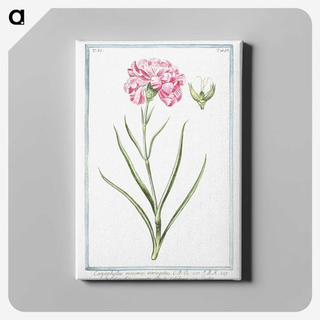 1-21_Hortus-Romanus-Botanical-Plates_canvas