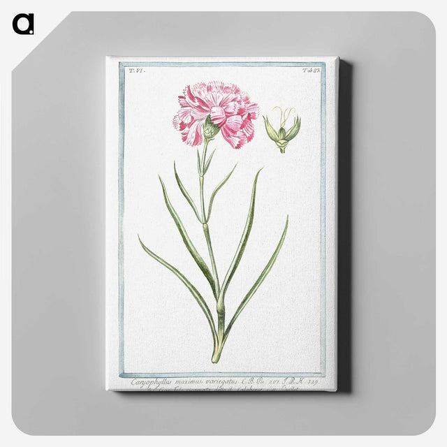 1-21_Hortus-Romanus-Botanical-Plates_canvas