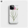 1-21_Hortus-Romanus-Botanical-Plates_phone