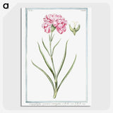 1-21_Hortus-Romanus-Botanical-Plates_picture-crop