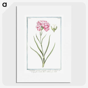 1-21_Hortus-Romanus-Botanical-Plates_picture