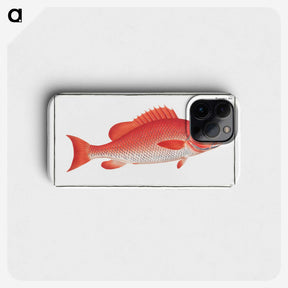 1-21_Ichtyologie-ou-Histoire-naturelle_phone