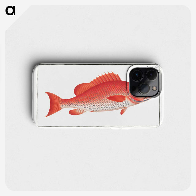 1-21_Ichtyologie-ou-Histoire-naturelle_phone