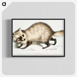 1-21_Indian-Zoology_blk-crop