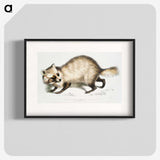 1-21_Indian-Zoology_blk