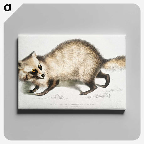 1-21_Indian-Zoology_canvas