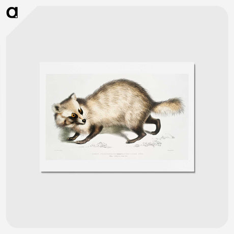 1-21_Indian-Zoology_hagaki