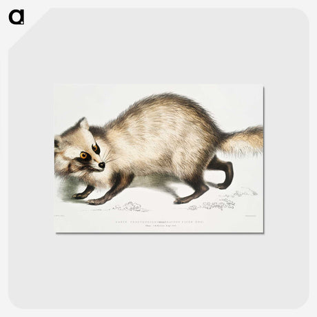 1-21_Indian-Zoology_postcard