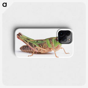 1-21_Insects-Unlocked-Project_phone