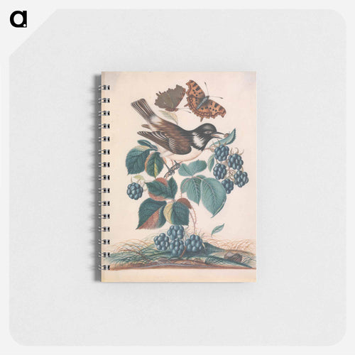 White-cheeked Starling with Bramble, Comma, and Ladybird Beetle
 - ジェームズ ボルトン Memo.