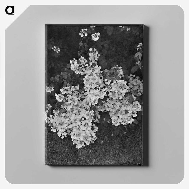 1-21_James-Walter-Chapman-Taylor_canvas
