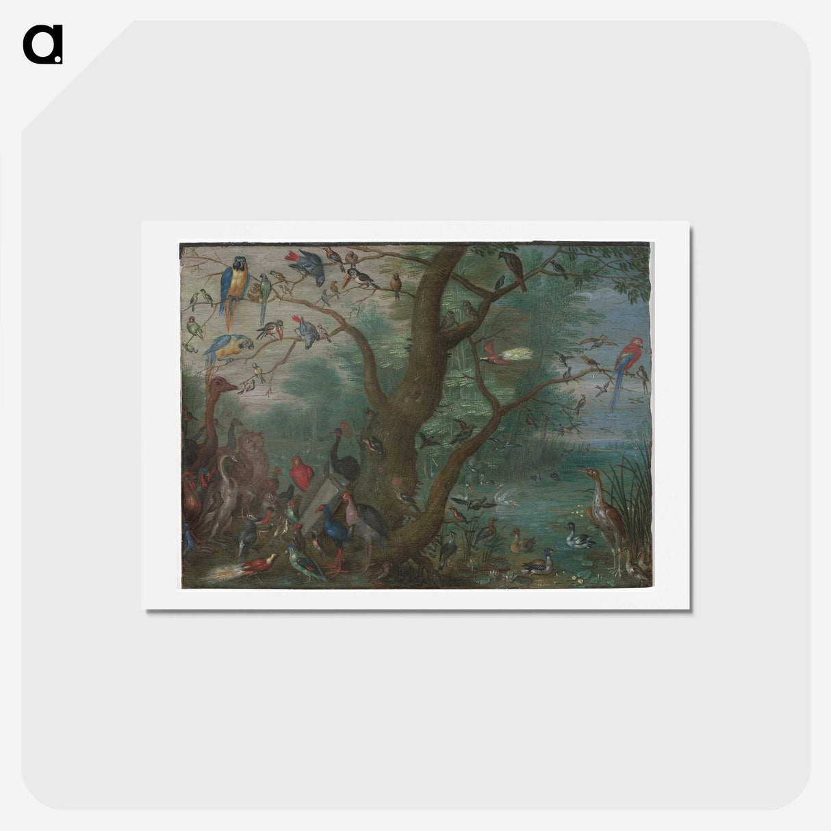 1-21_Jan-Van-Kessel_hagaki