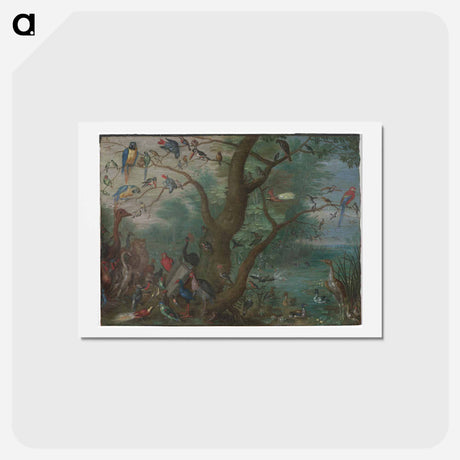 アートポストカード-Concert of Birds
 - ヤン ファン ケッセル Postcard.