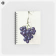 1-21_Jean-Bernard_memo