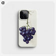 1-21_Jean-Bernard_phone