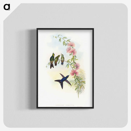 1-21_John-Gould_blk-crop
