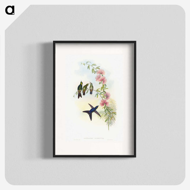 1-21_John-Gould_blk