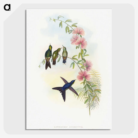 1-21_John-Gould_picture-crop